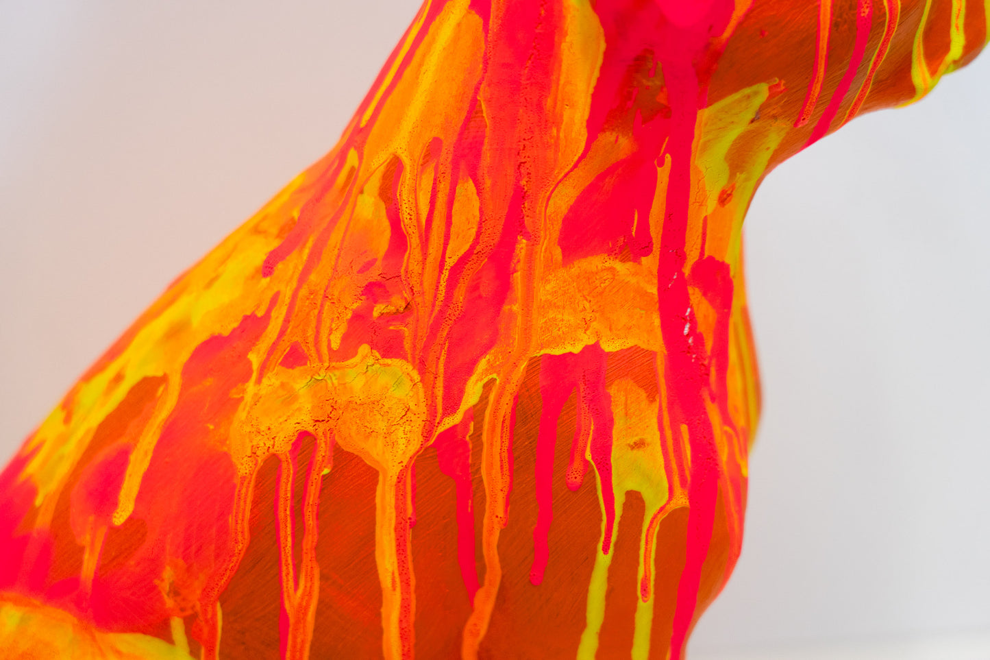 Bulldogge Art Nr. 38