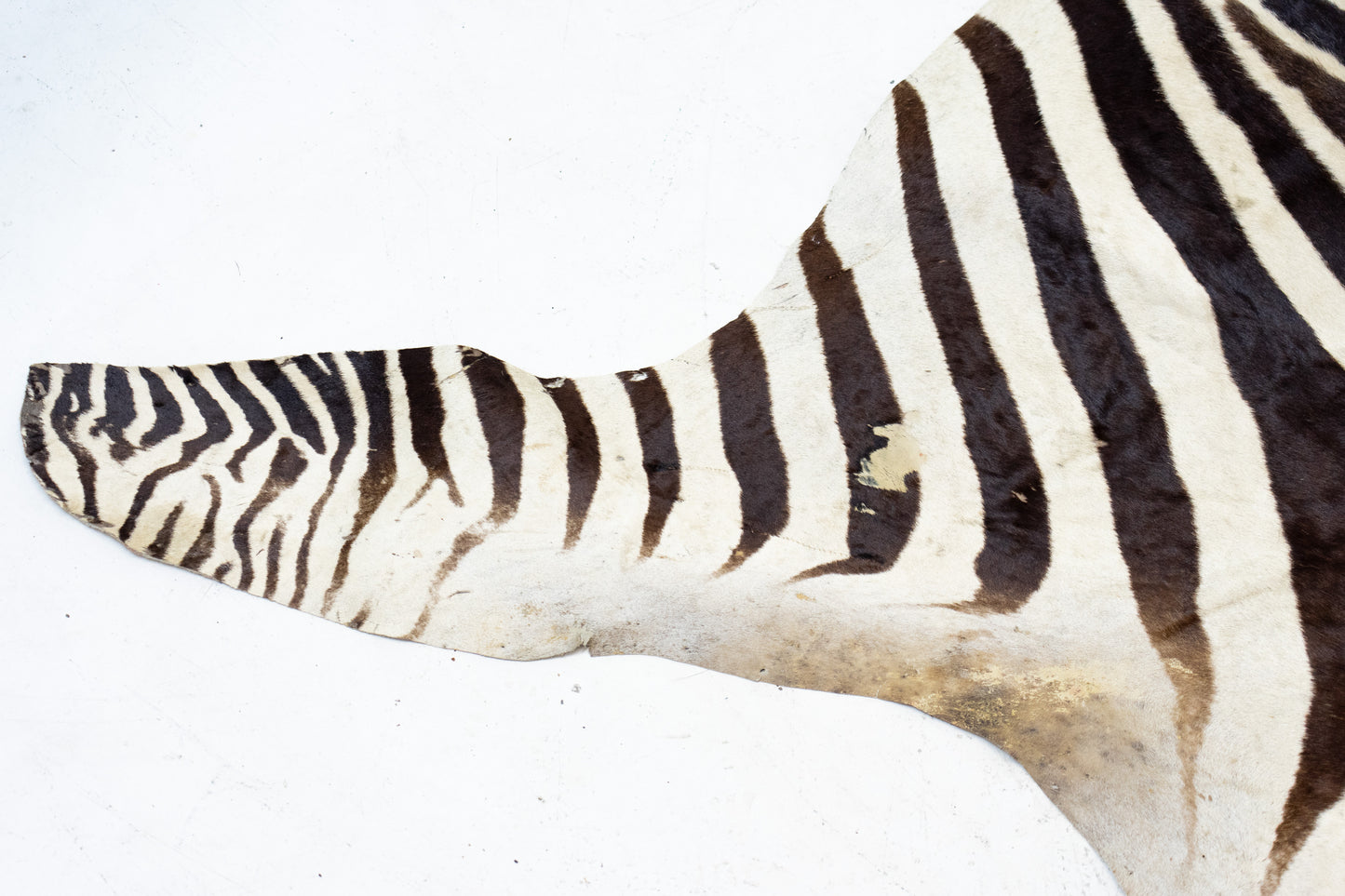 Zebrafell Botswana 80er