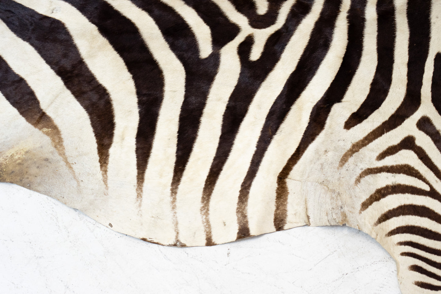 Zebrafell Botswana 80er