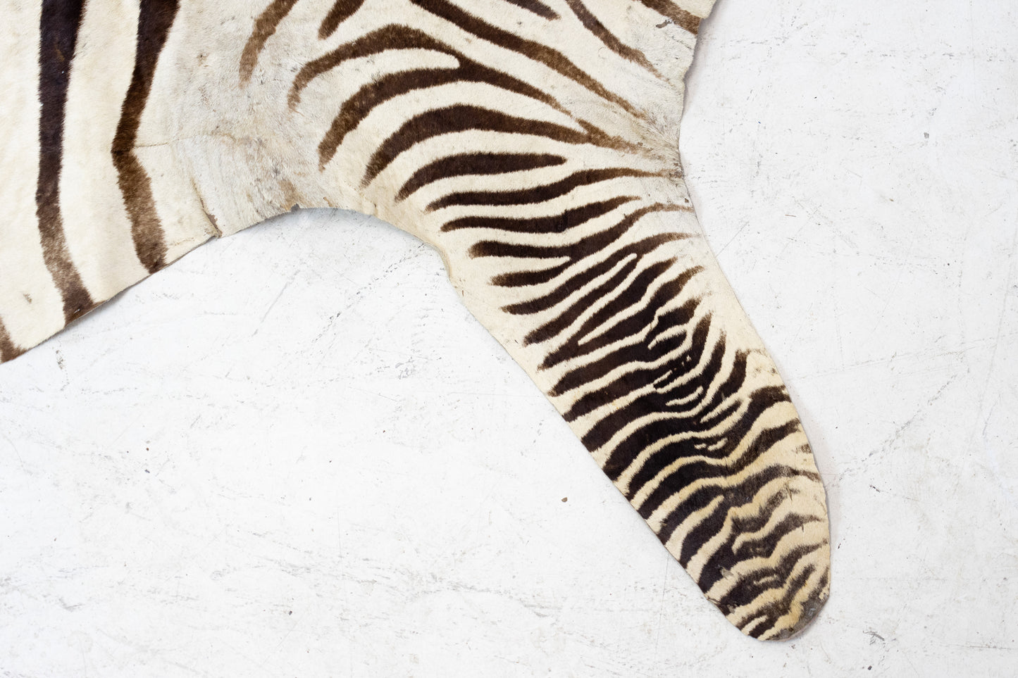 Zebrafell Botswana 80er