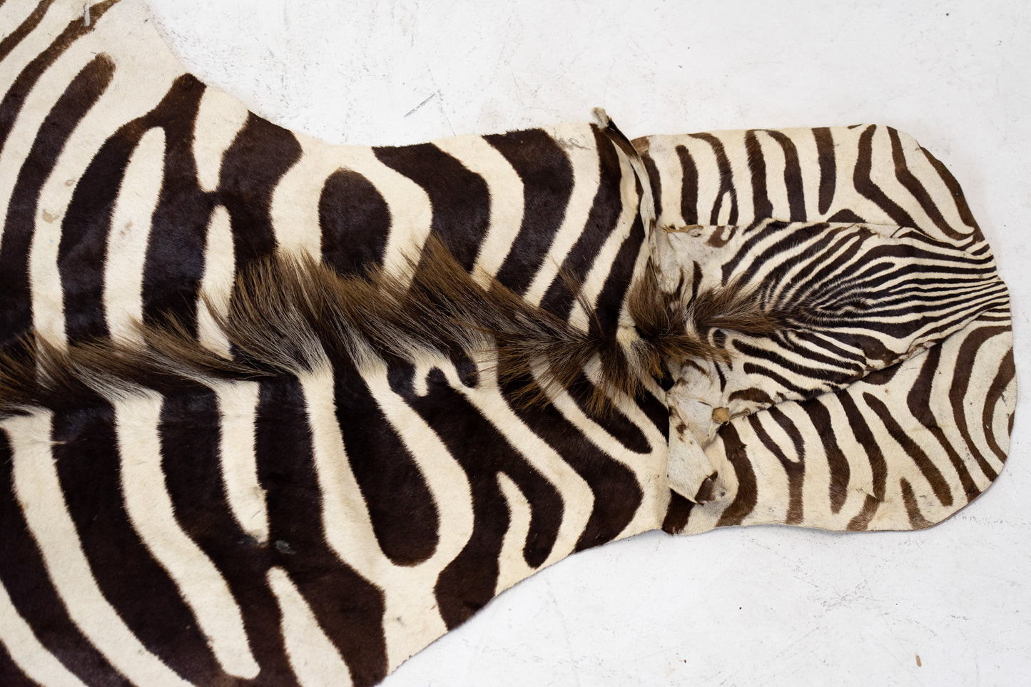 Zebrafell Botswana 80er