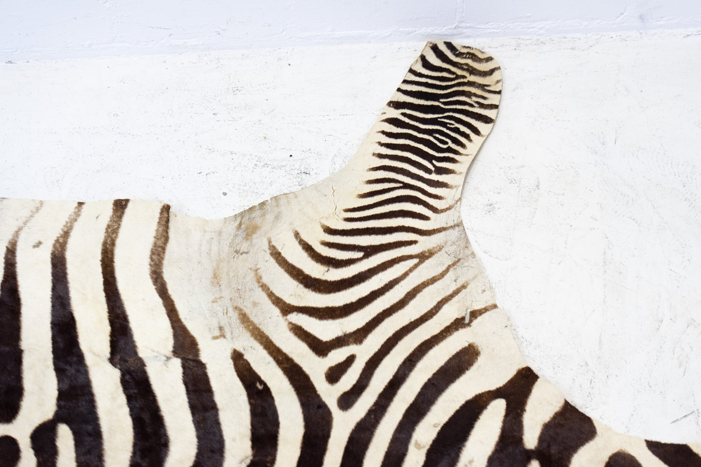 Zebrafell Botswana 80er