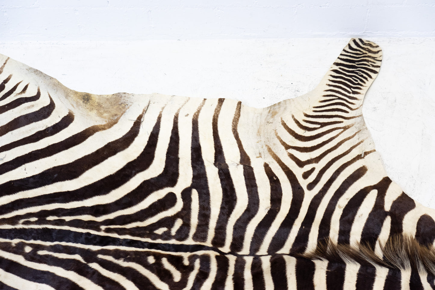 Zebrafell Botswana 80er