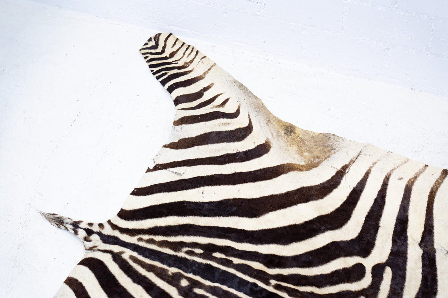 Zebrafell Botswana 80er