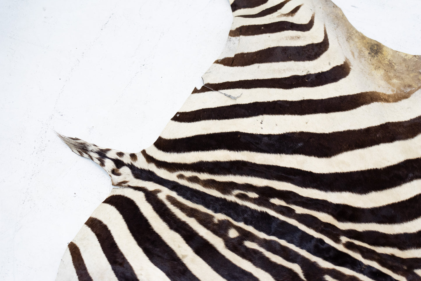 Zebrafell Botswana 80er