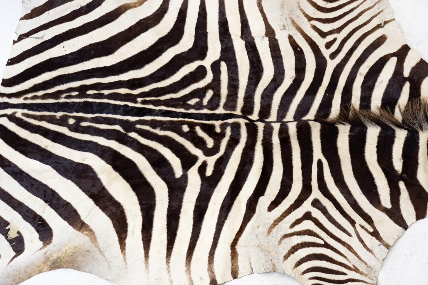 Zebrafell Botswana 80er