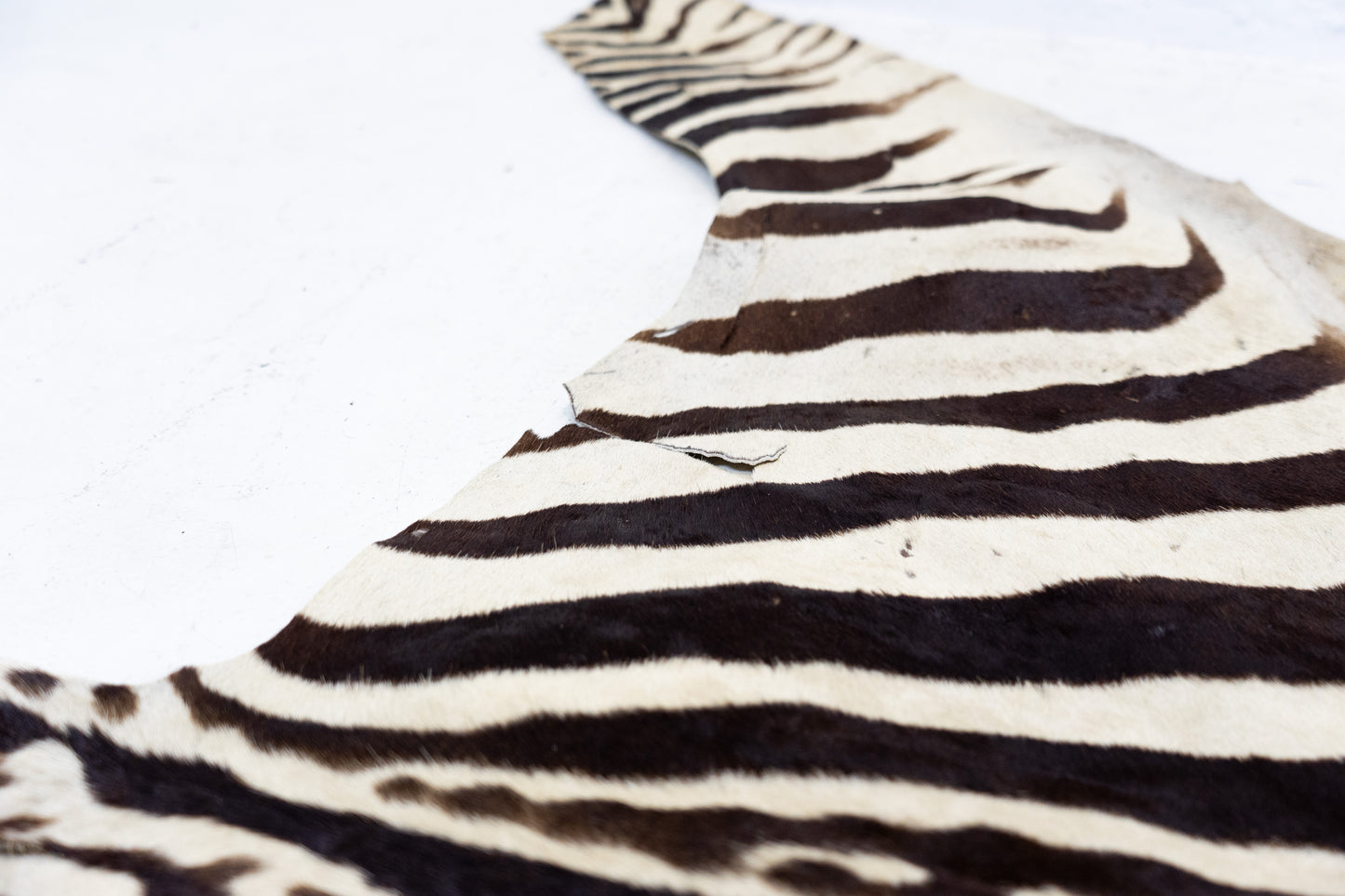 Zebrafell Botswana 80er