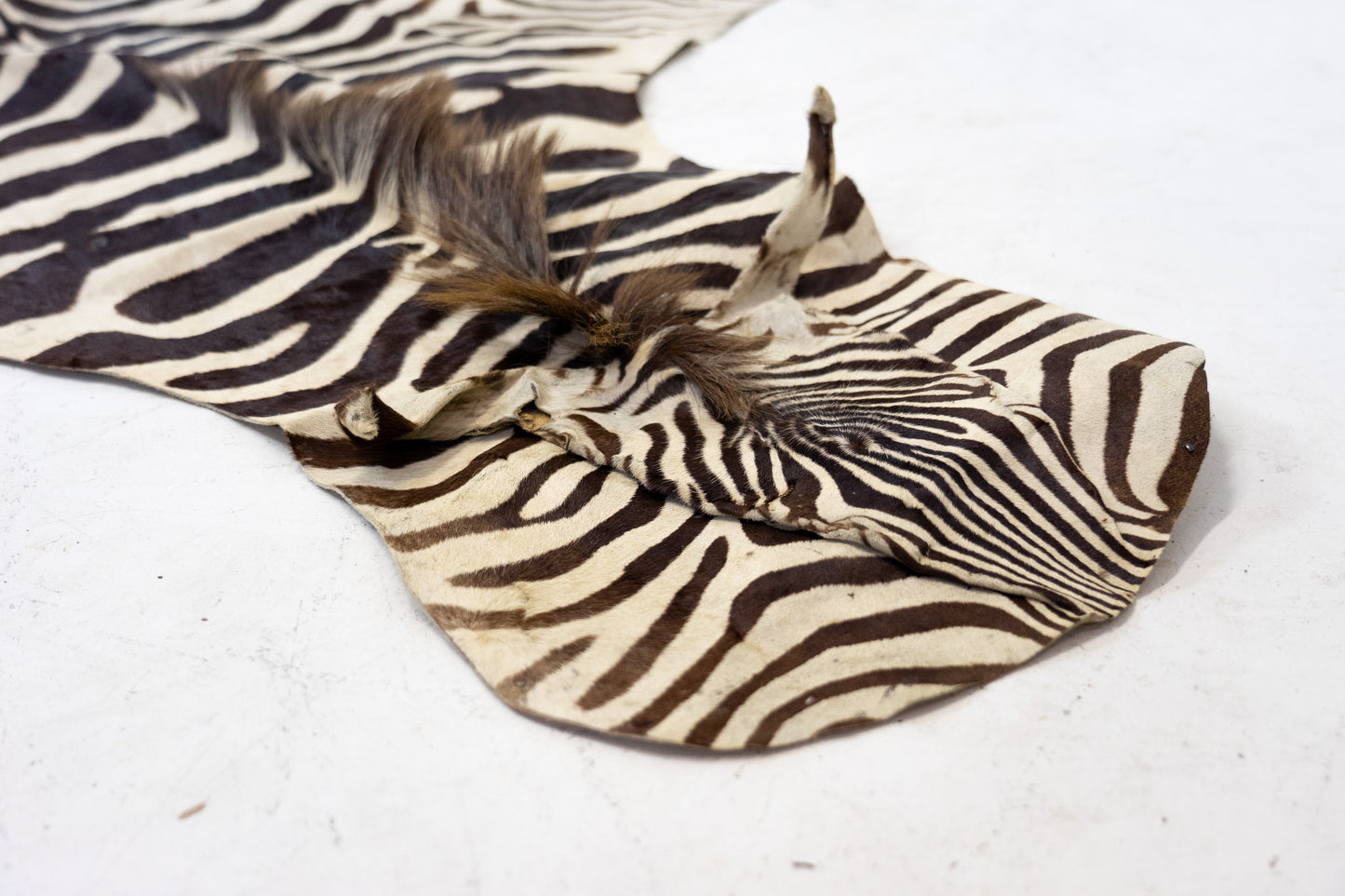 Zebrafell Botswana 80er