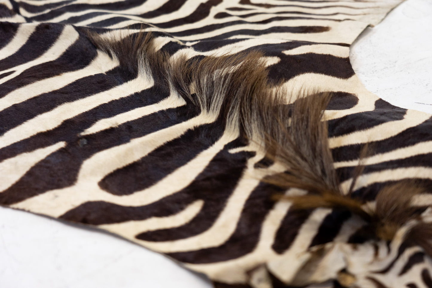 Zebrafell Botswana 80er