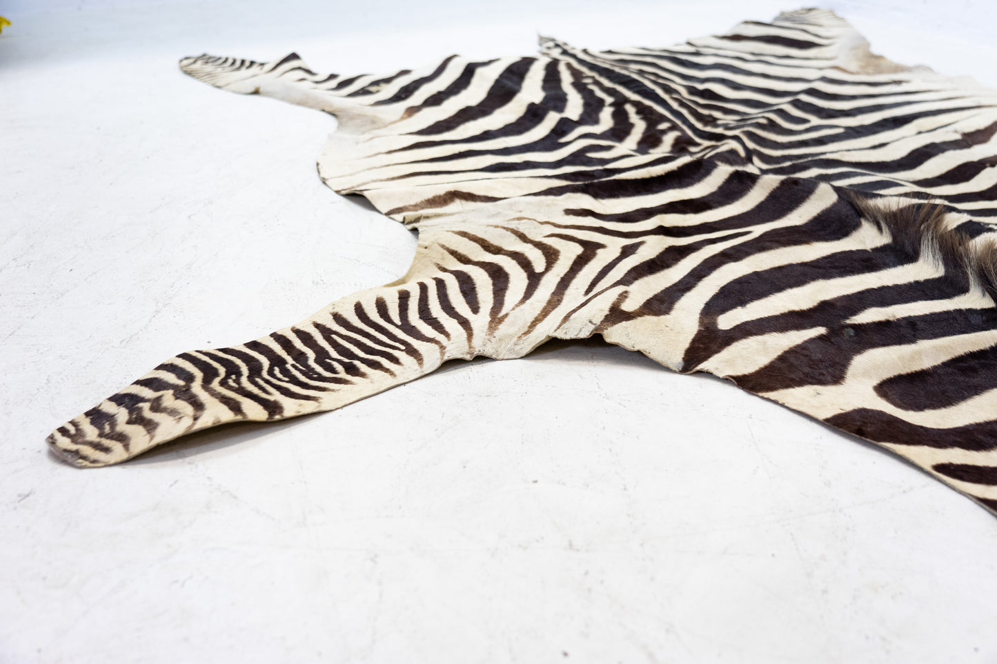 Zebrafell Botswana 80er