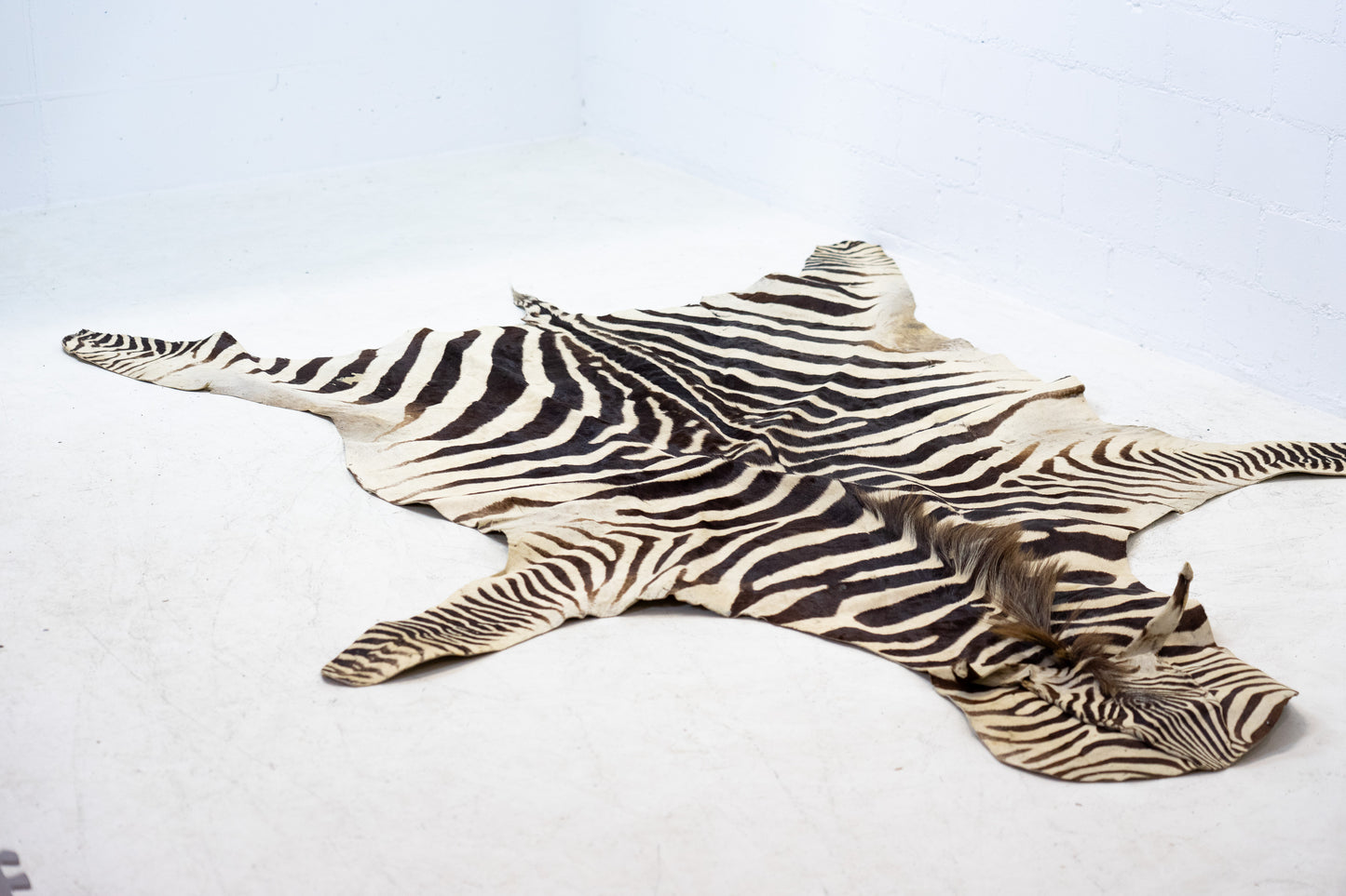 Zebrafell Botswana 80er