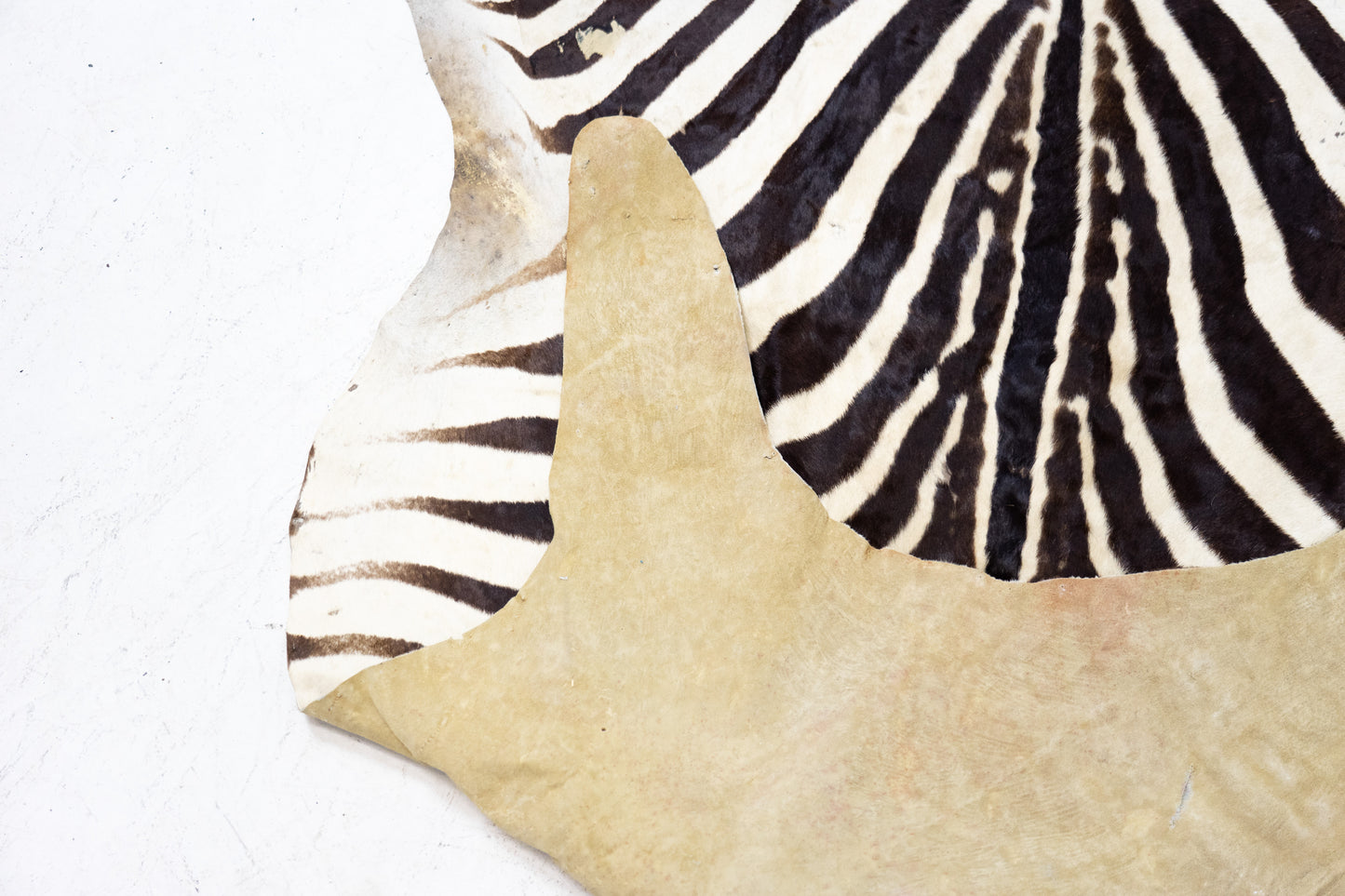 Zebrafell Botswana 80er