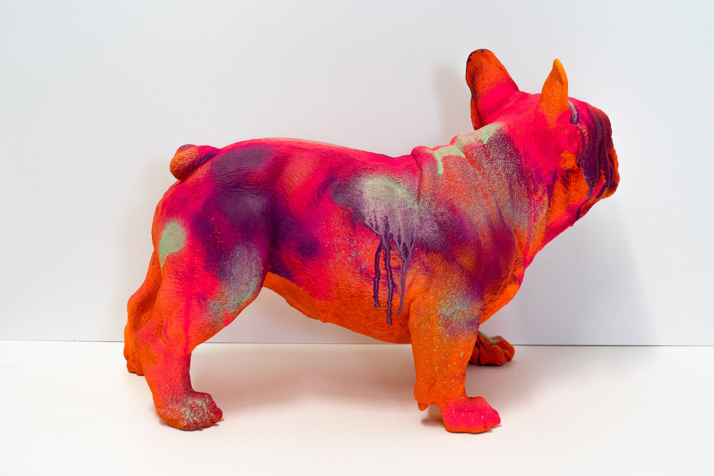 Bulldogge Art Nr. 37
