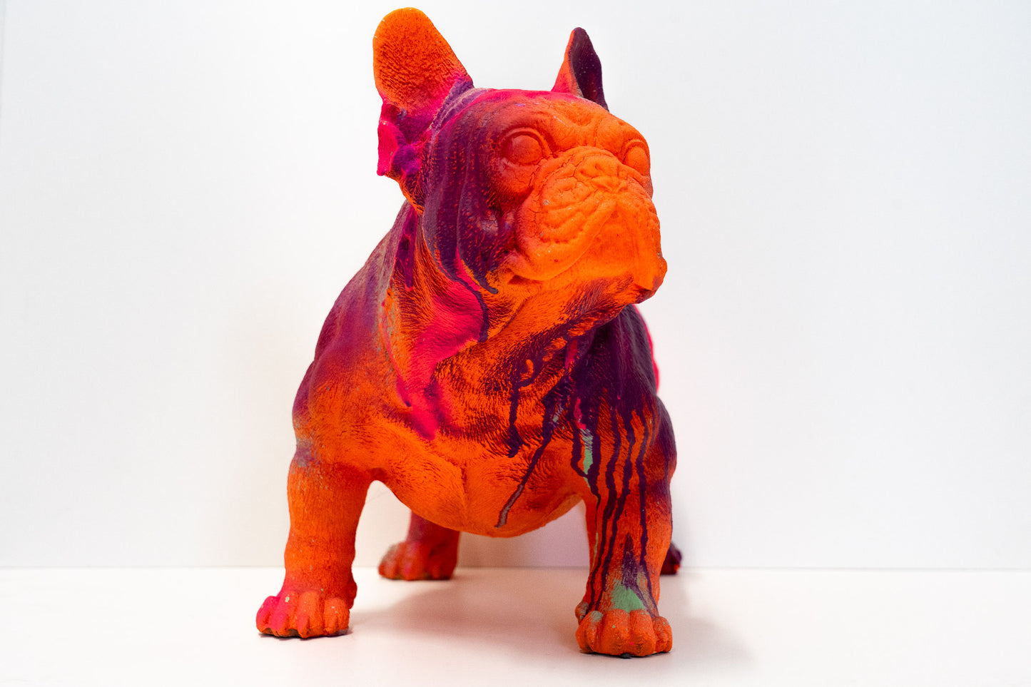 Bulldogge Art Nr. 37
