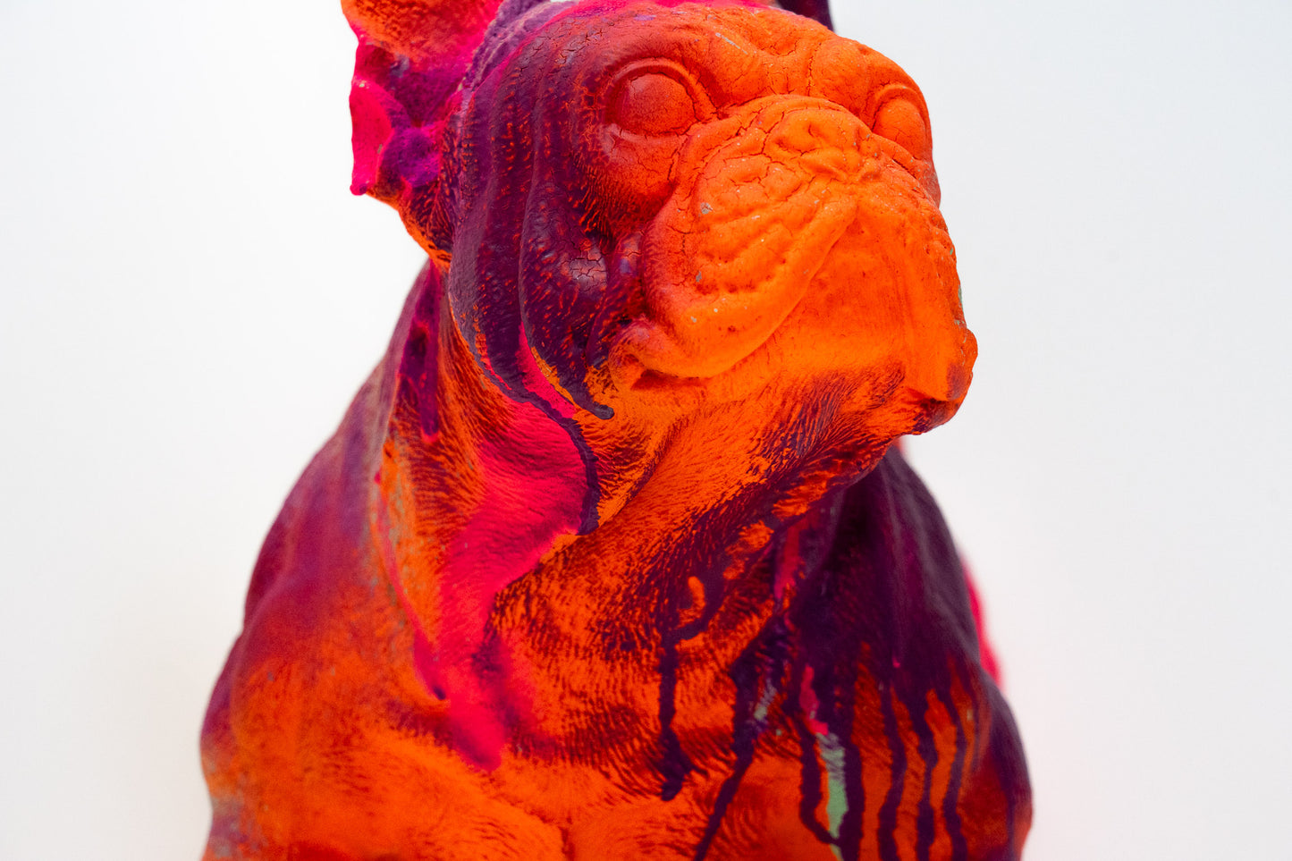 Bulldogge Art Nr. 37