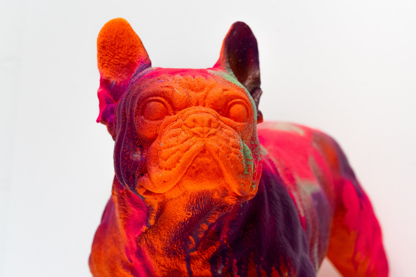Bulldogge Art Nr. 37