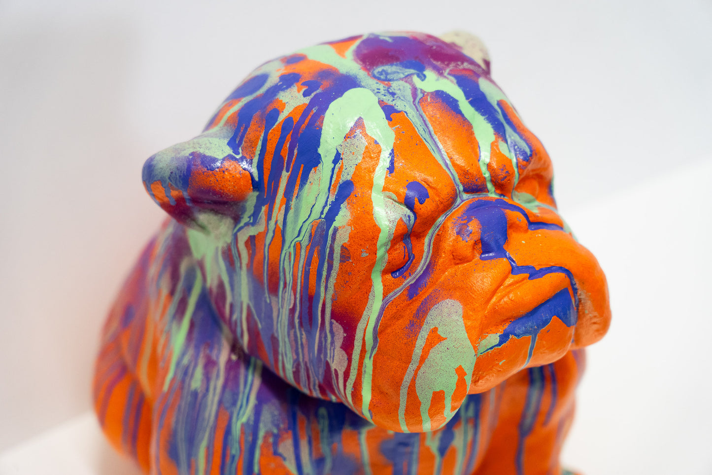 Bulldogge Art Nr. 39