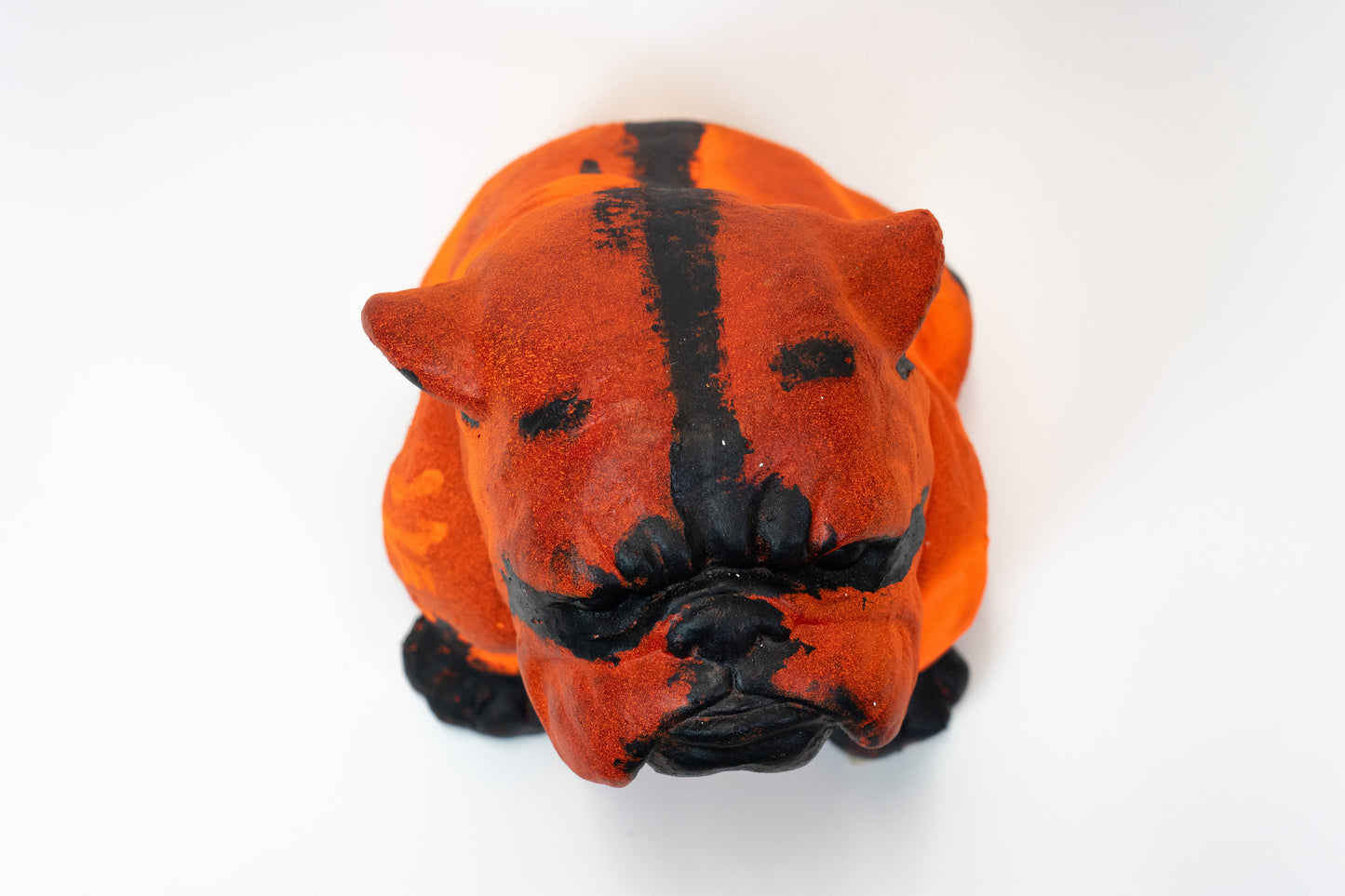 Bulldogge Art Nr. 41