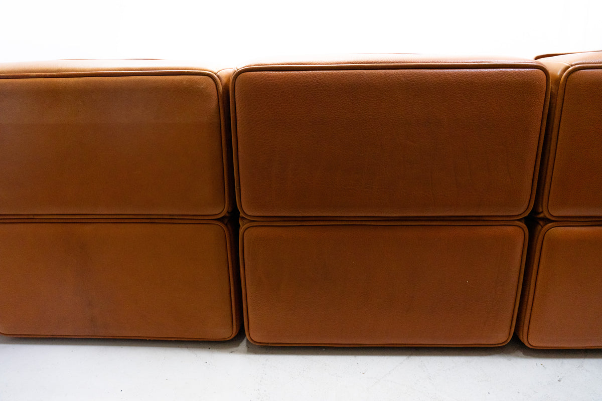 De Sede DS-15 Sofa Nr. 5