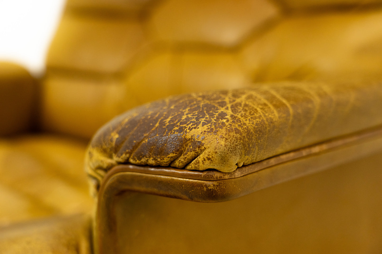 De Sede DS-P Sessel Nr. 3