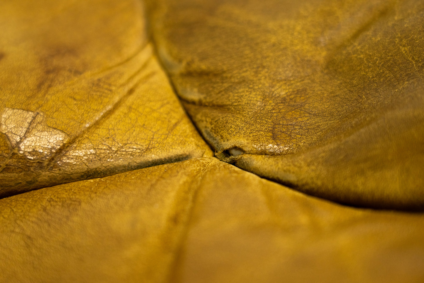 De Sede DS-P Sessel Nr. 3