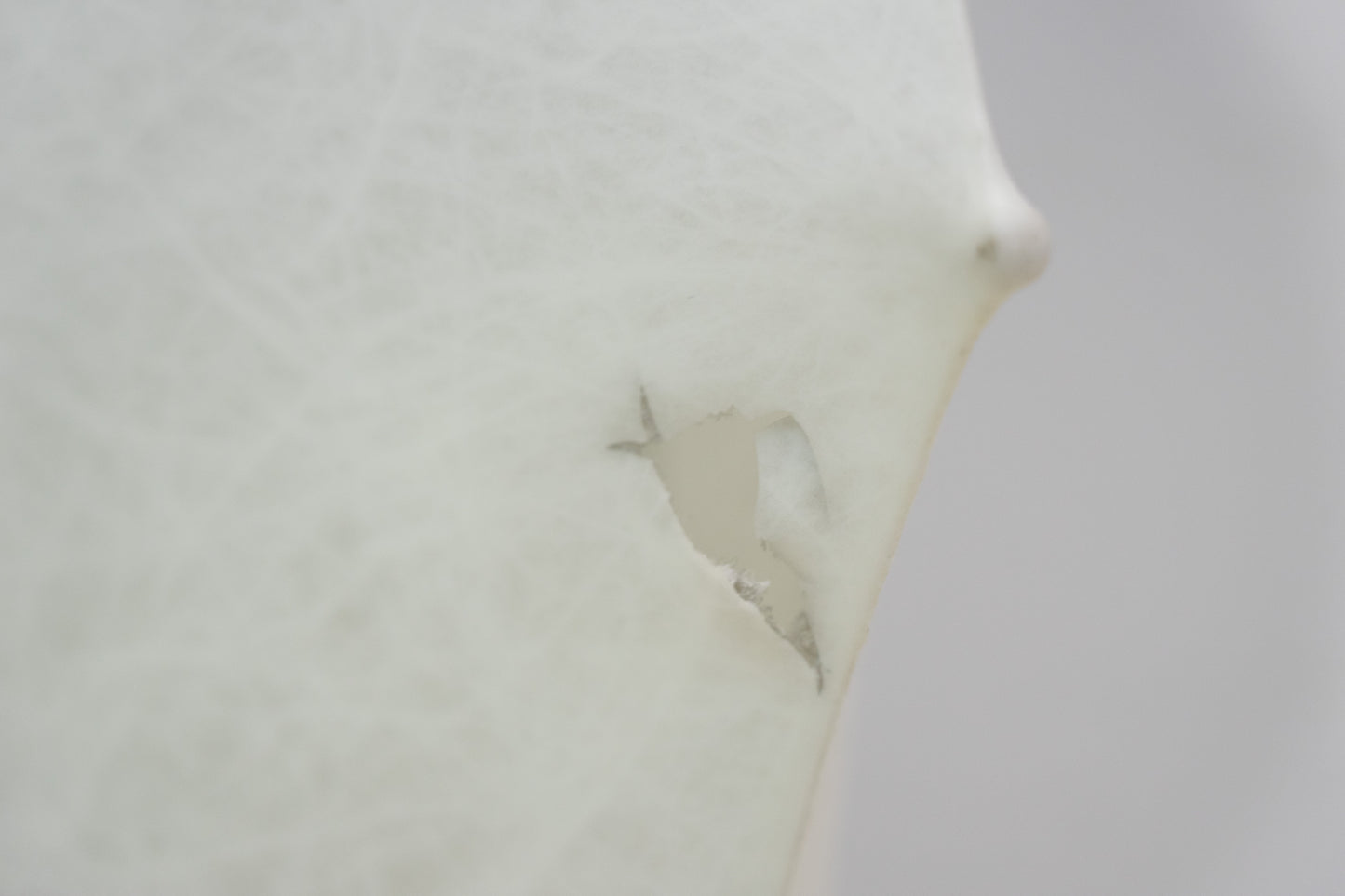 Flos Fantasma Piccolo Stehleuchte Nr. 1