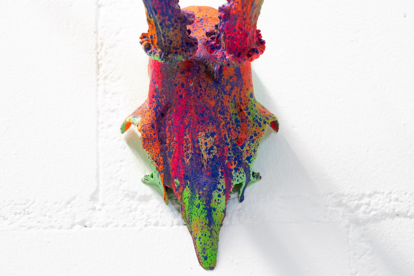 Geweih Art Nr. 1