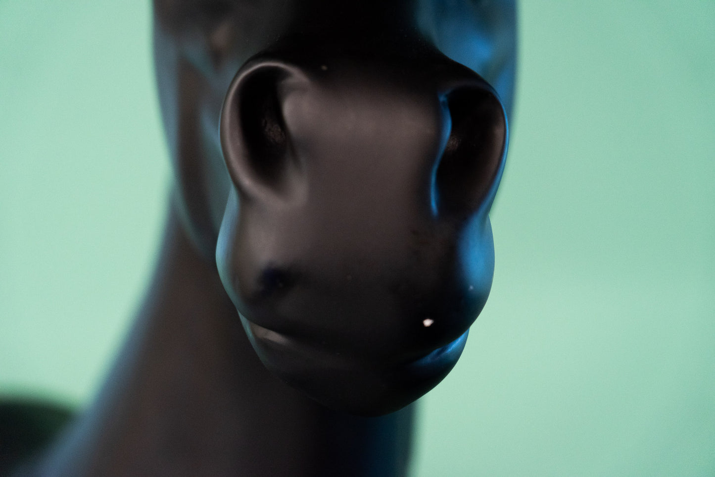 Moooi Horse Lamp Front Design