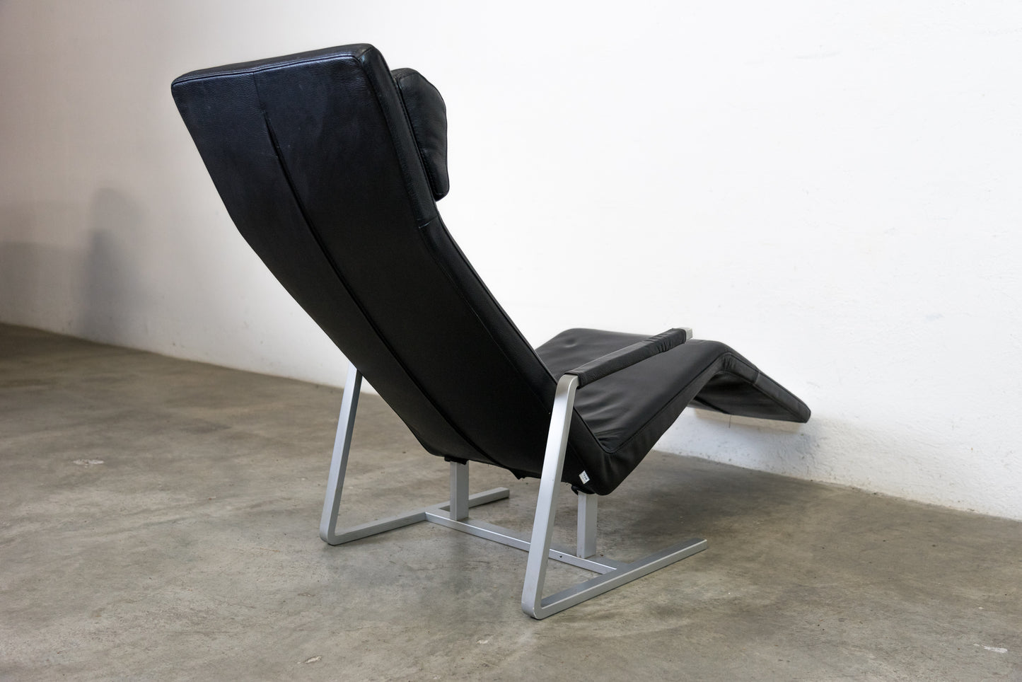 Team by Wellis Liege MaRe Nr. 5