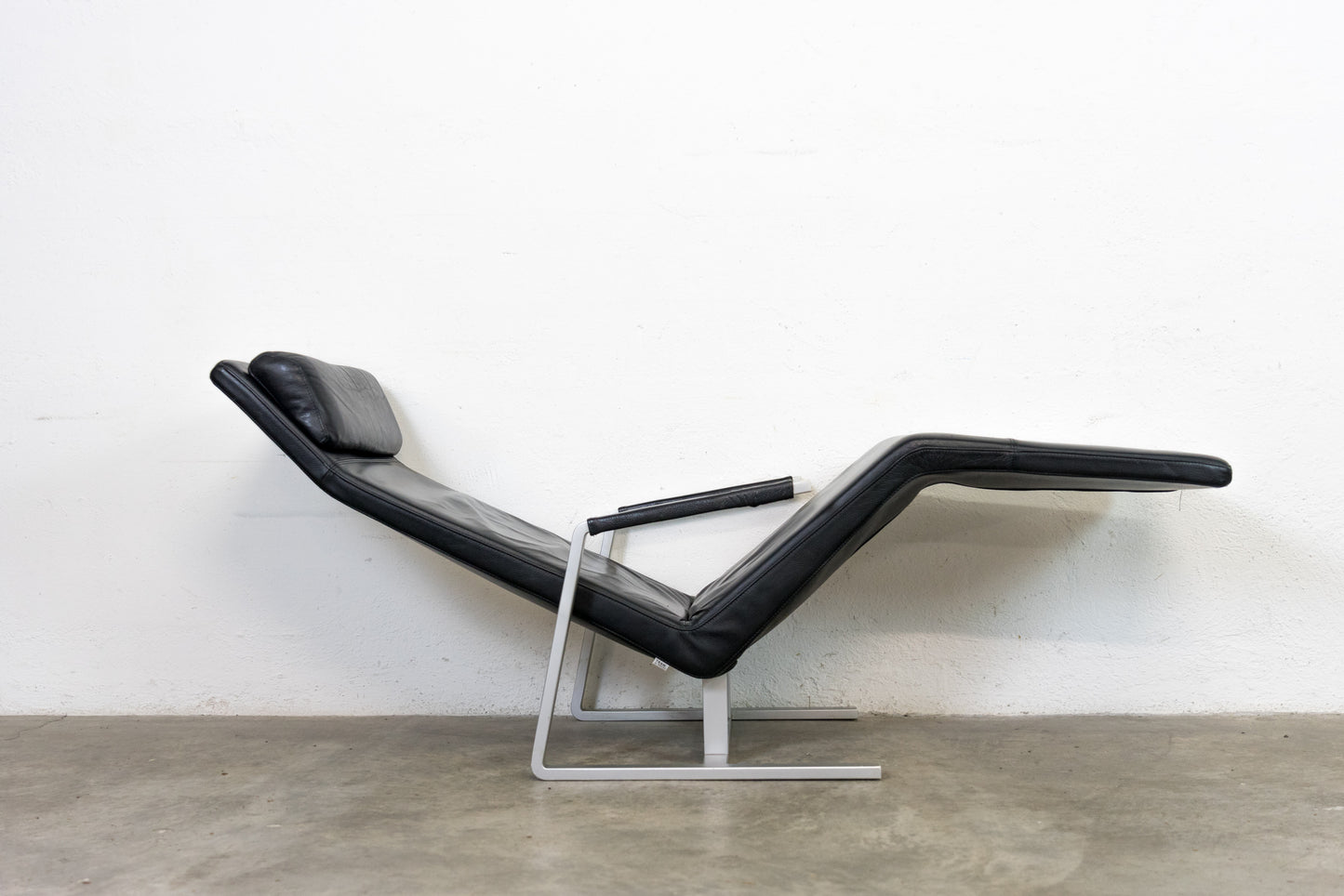 Team by Wellis Liege MaRe Nr. 5