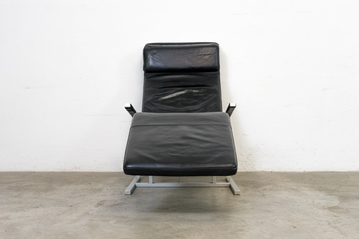 Team by Wellis Liege MaRe Nr. 5